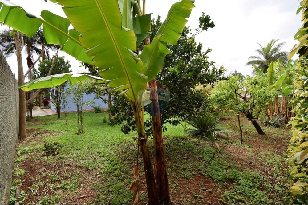 Casa - Alugar - Brasília , Distrito Federal - Jardim - árvores frutíferas - 3.JPG - 880151004-218