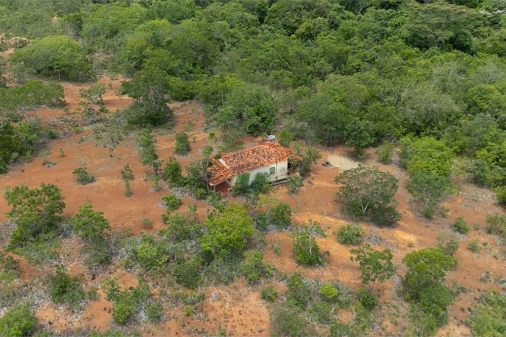 Chácara / Sítio / Fazenda - Venda - Buritis , Minas Gerais - DJI_20260201114129_0169_D.jpg - Layout aberto - 880461004-155