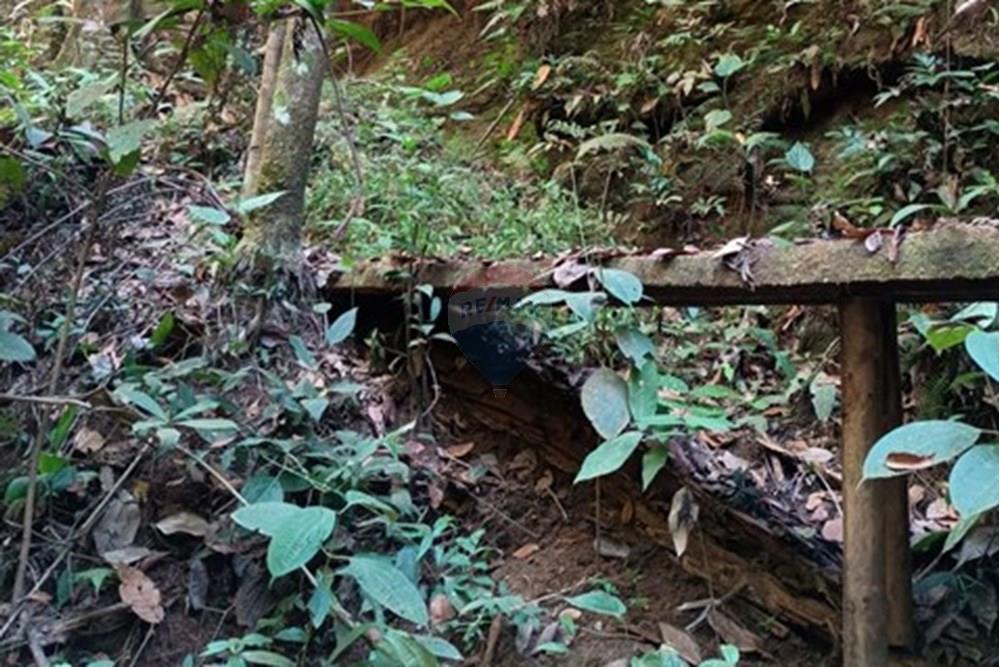 Chácara / Sítio / Fazenda - Venda - Luziânia , Goiás - Imagem do WhatsApp de 2025-06-26 à(s) 23.13.26_1d54dbdc.jpg - 880231017-81