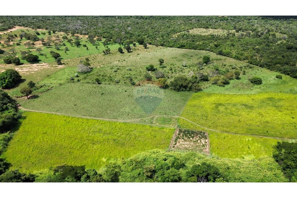 Chácara / Sítio / Fazenda - Venda - Arinos , Minas Gerais - 1000034775.jpg - 880231174-6