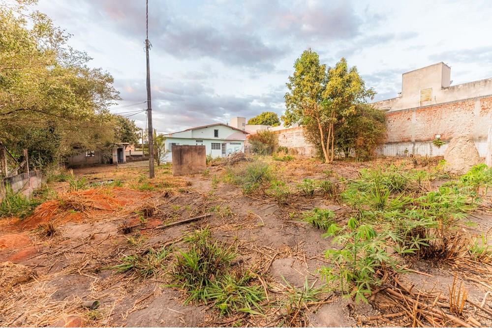 Terreno - Venda - Vicente Pires , Distrito Federal - DSC03058.jpg - 880241010-47