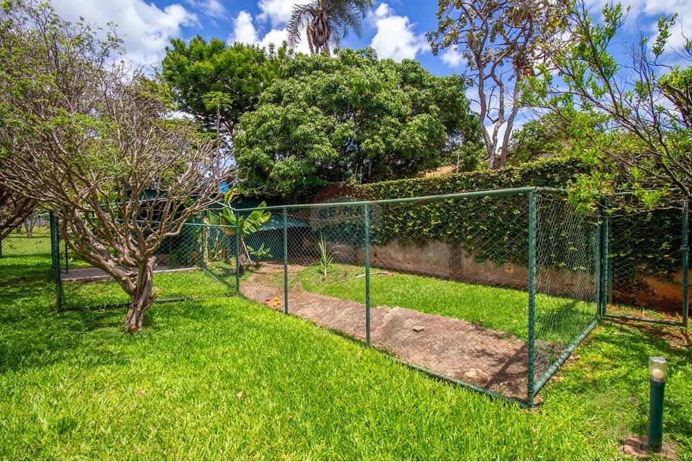 Casa - Alugar - Brasília , Distrito Federal - IMG_8640.jpg - 880321097-78