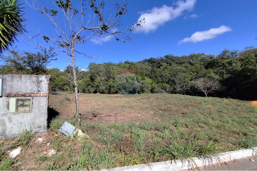 Terreno - Venda - Brasília , Distrito Federal - WhatsApp Image 2025-07-11 at 21.00.49 (1).jpeg - 880341024-136