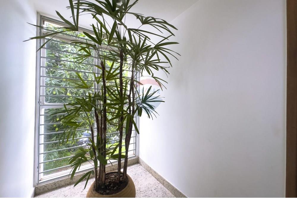 Cj. Comercial/ Sala - Venda - Brasília , Distrito Federal - WhatsApp Image 2025-12-19 at 18.42.25.jpeg - 880331074-6