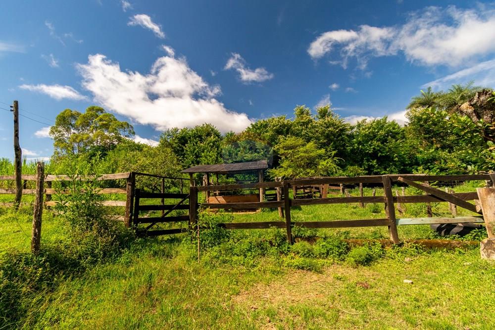 Chácara / Sítio / Fazenda - Venda - Planaltina , Distrito Federal - DSC_6625.jpg - 880341026-72