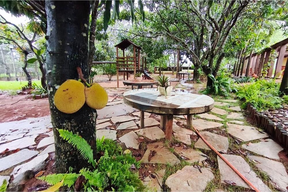 Chácara / Sítio / Fazenda - Venda - Formosa , Goiás - WhatsApp Image 2026-01-28 at 12.04.53 (2).jpeg - 880231017-86