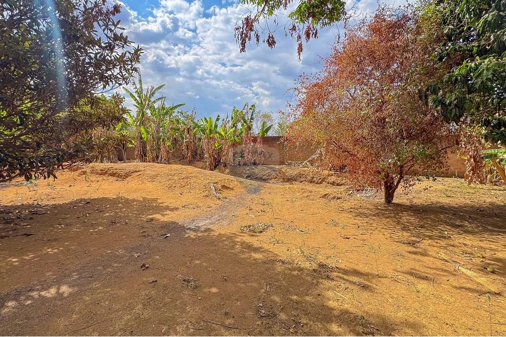 Casa - Venda - Ceilandia , Distrito Federal - IMG_9112.jpg - Jardim Externo - 880231186-13