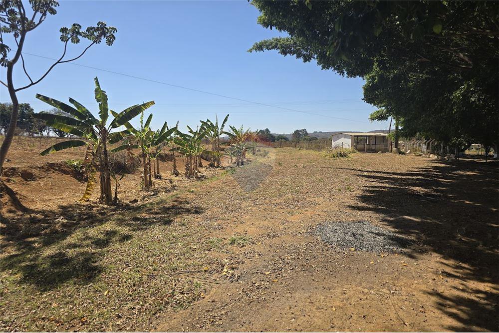 Chácara / Sítio / Fazenda - Venda - Gama , Distrito Federal - 21 - 880321005-55