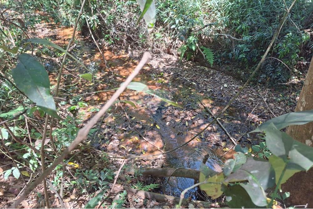 Chácara / Sítio / Fazenda - Venda - São Sebastião , Distrito Federal - IMG-20251128-WA0080.jpg - 880111130-1