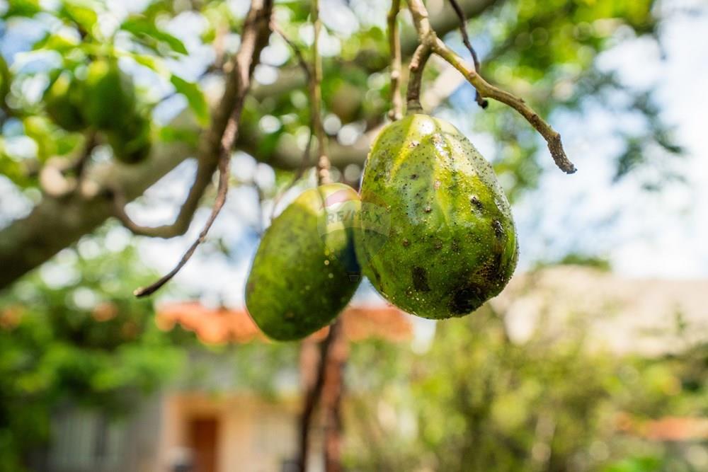 Casa - Venda - Brasília , Distrito Federal - DSC04937.jpg - 880221014-149