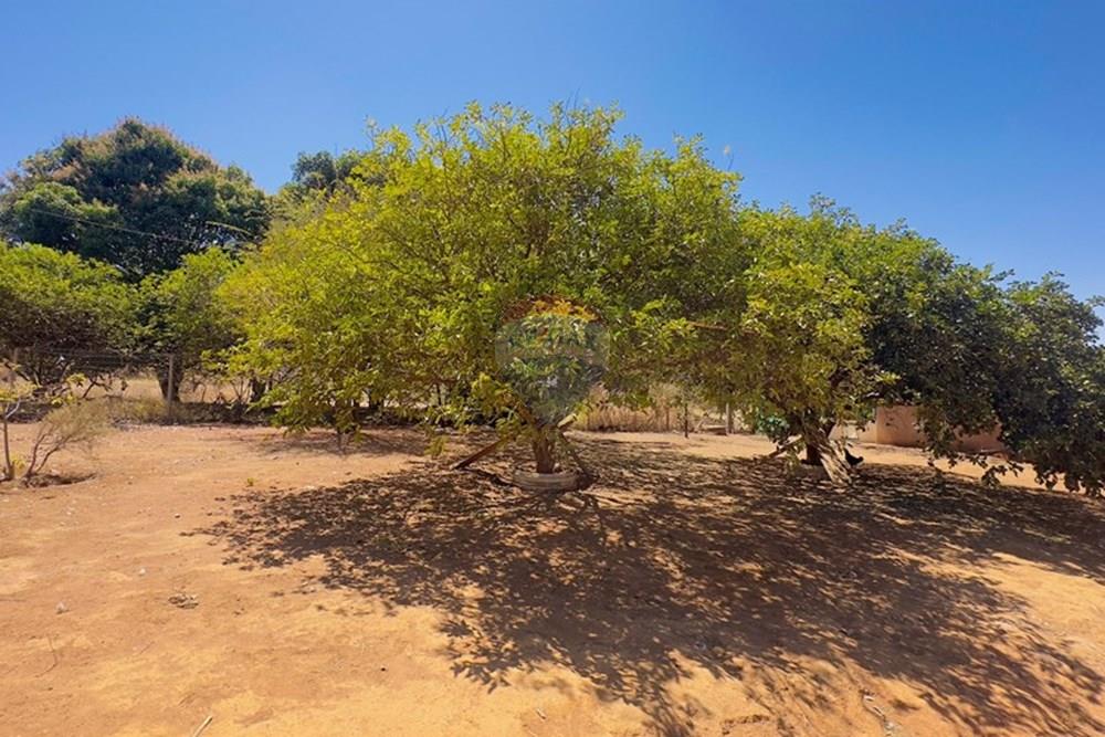 Chácara / Sítio / Fazenda - Venda - Sobradinho , Distrito Federal - IMG_8152.jpg - 880341174-3