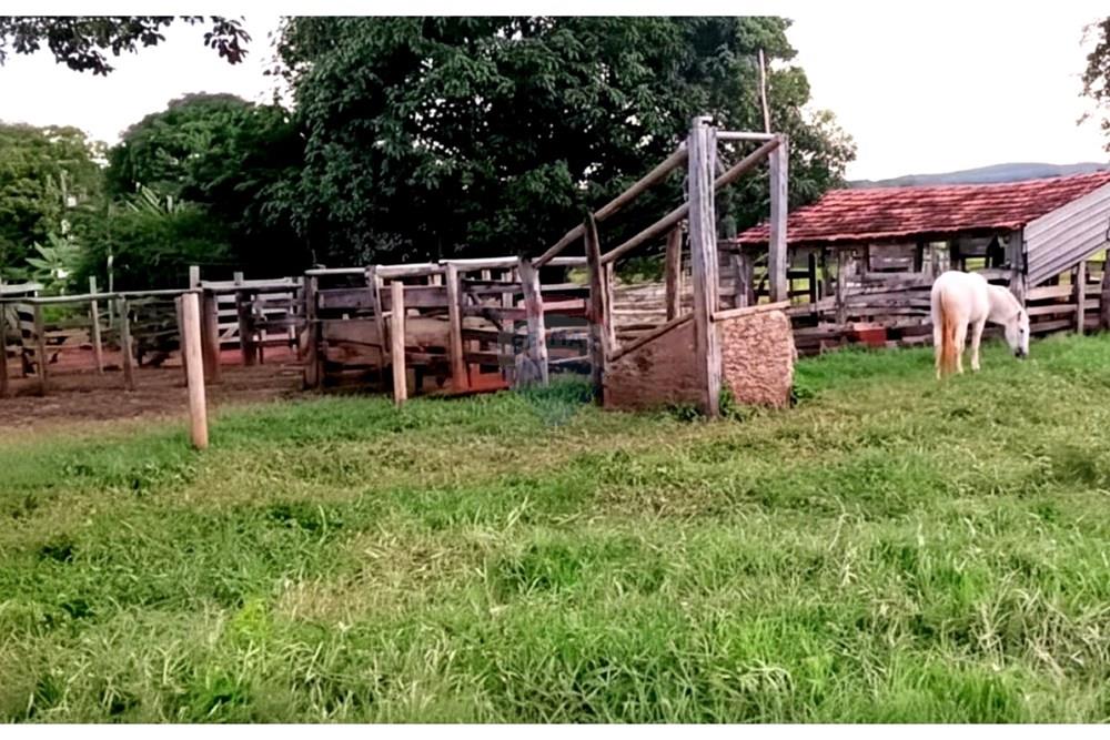 Fazenda - Venda - Cabeceiras , Goiás - ILIST_3x2_Imagem6 - Curral.jpg - 880241072-4