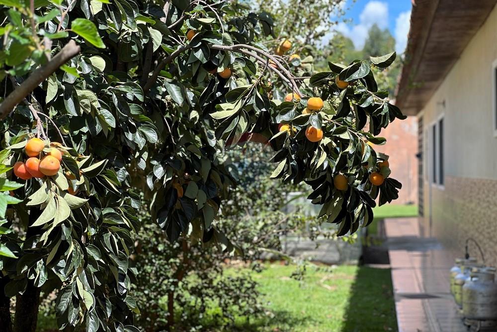 Casa - Venda - Taguatinga , Distrito Federal - IMG_3136.JPG - 880351011-84