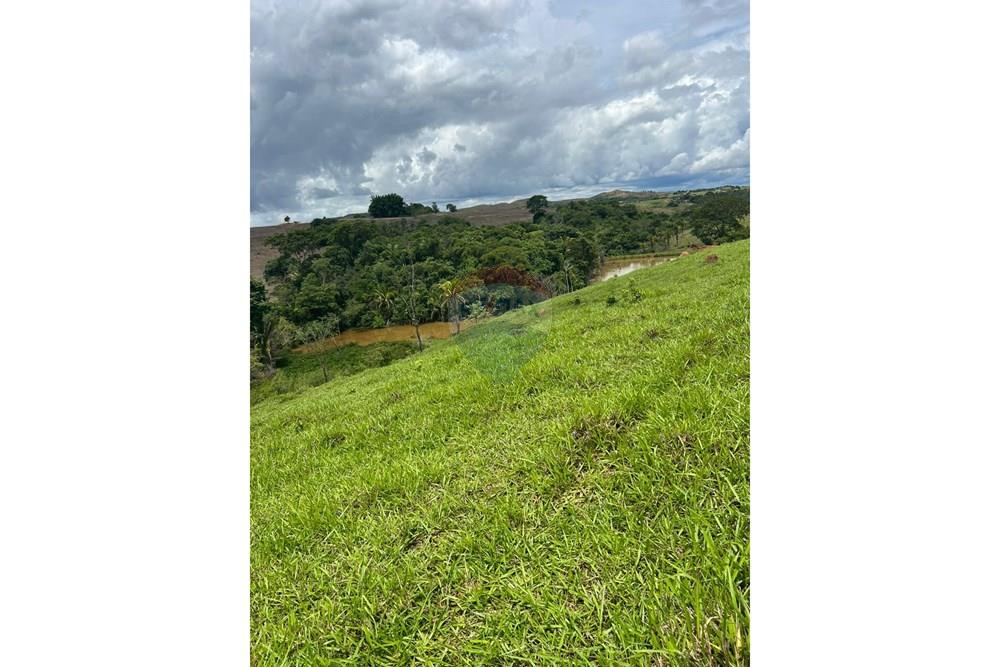 Chácara / Sítio / Fazenda - Venda - Cocalzinho de Goiás , Goiás - fazenda 4.jpeg - 880351098-3