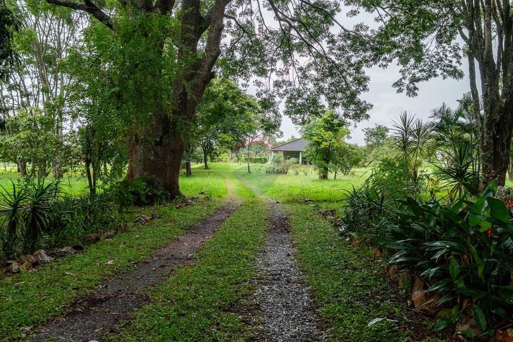 Chácara / Sítio / Fazenda - Venda - Sobradinho , Distrito Federal - DSC07407.jpg - 880221014-155