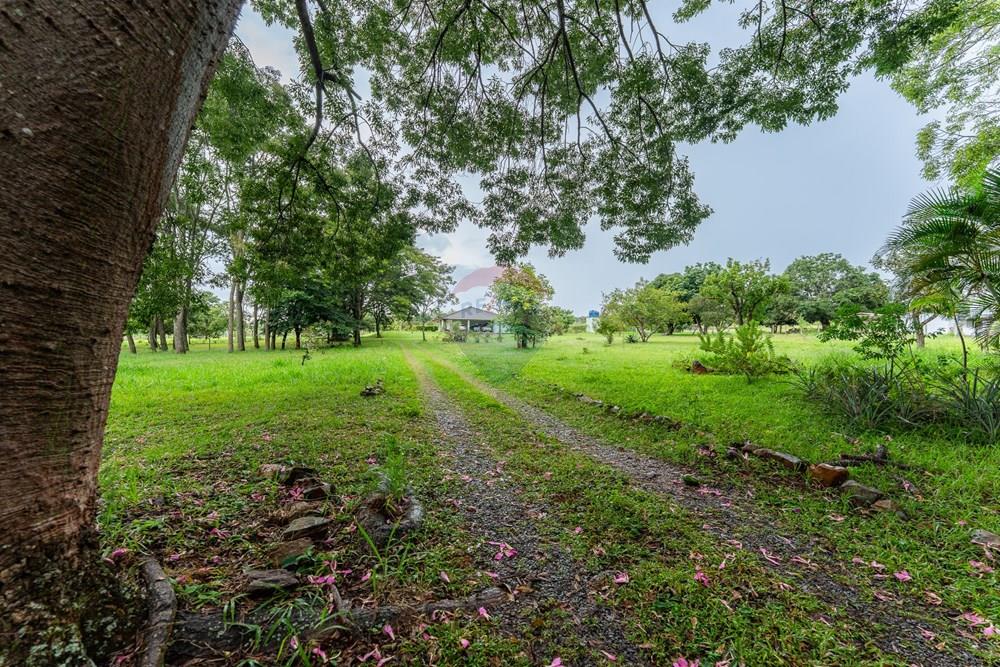 Chácara / Sítio / Fazenda - Venda - Sobradinho , Distrito Federal - DSC07409.jpg - 880221014-155