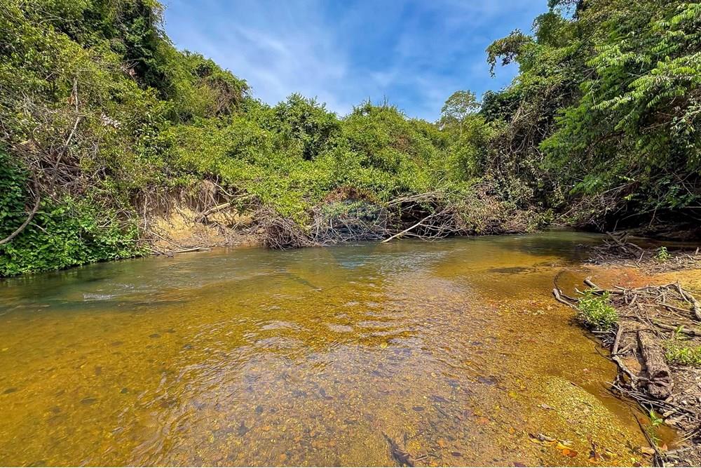 Terreno - Venda - Paranoa , Distrito Federal - IMG_8497.jpg - 880111053-128