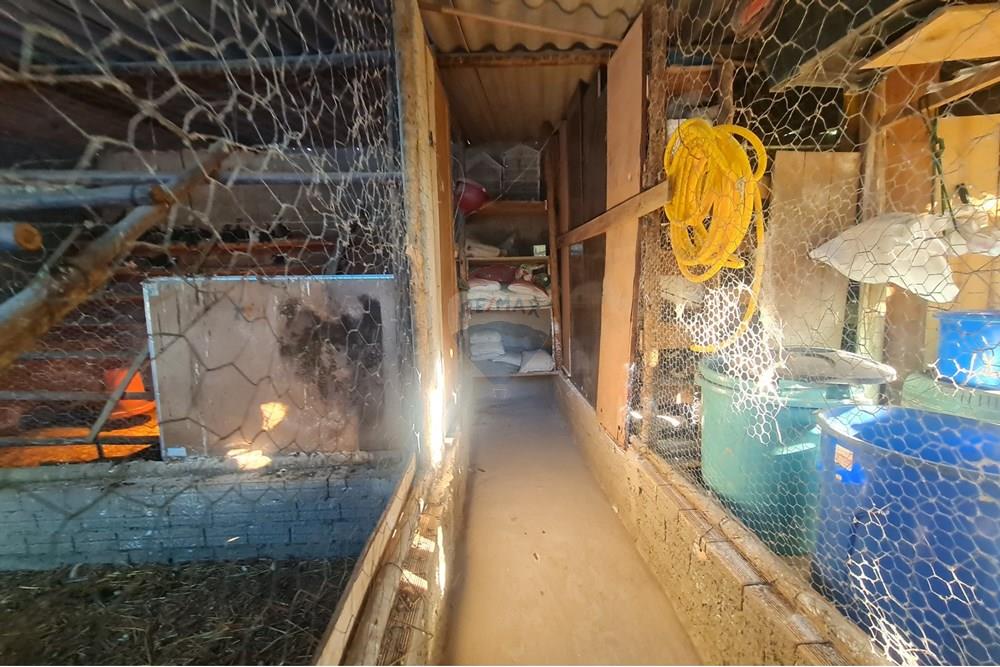 Chácara / Sítio / Fazenda - Venda - Brasília , Distrito Federal - 1003078419.jpg - 880321021-71