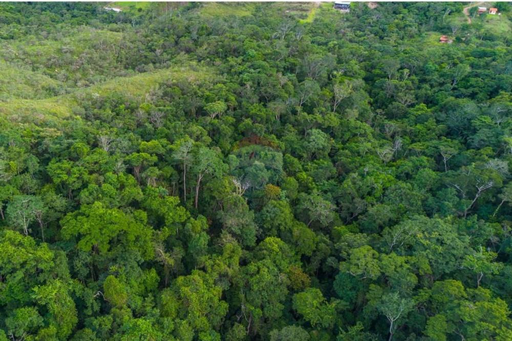 Terreno - Venda - Brasília , Distrito Federal - DJI_0108-Aprimorado-NR.jpg - 880251001-39