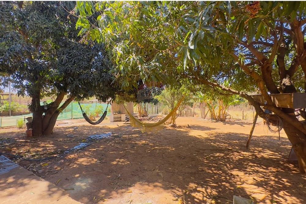 Chácara / Sítio / Fazenda - Venda - Sobradinho , Distrito Federal - IMG_8158.jpg - 880341174-3