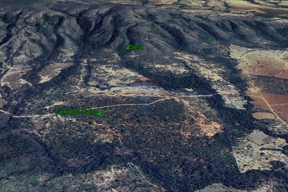 Chácara / Sítio / Fazenda - Venda - Buritis , Minas Gerais - ÁEREA 2.jpg - 880461004-155