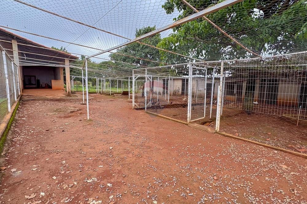 Chácara / Sítio / Fazenda - Venda - Sobradinho , Distrito Federal - IMG_5636.jpg - 880111107-7