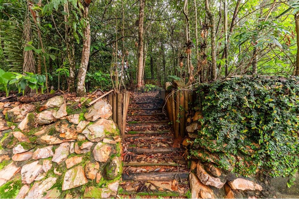 Casa de Condomínio - Venda - Brasília , Distrito Federal - DSC02607.jpg - 880221082-1