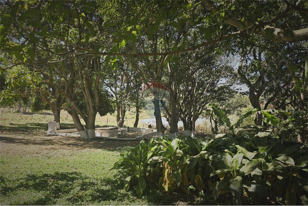 Chácara / Sítio / Fazenda - Venda - Gama , Distrito Federal - 33 - 880321005-55