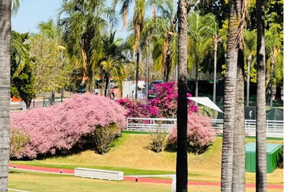 Apart Hotel/ Flat - Venda - Brasília , Distrito Federal - foto1.jpeg - 880261103-14