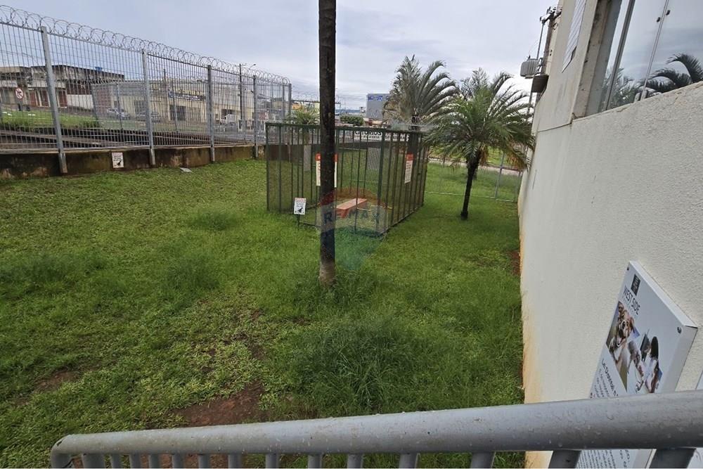 Apartamento - Venda - Ceilandia , Distrito Federal - 20260205_154114.jpg - 880341100-19