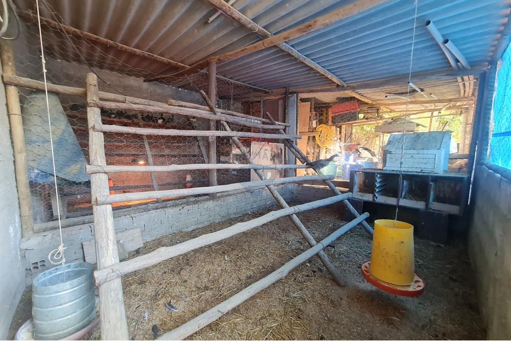 Chácara / Sítio / Fazenda - Venda - Brasília , Distrito Federal - 1003078403.jpg - 880321021-71