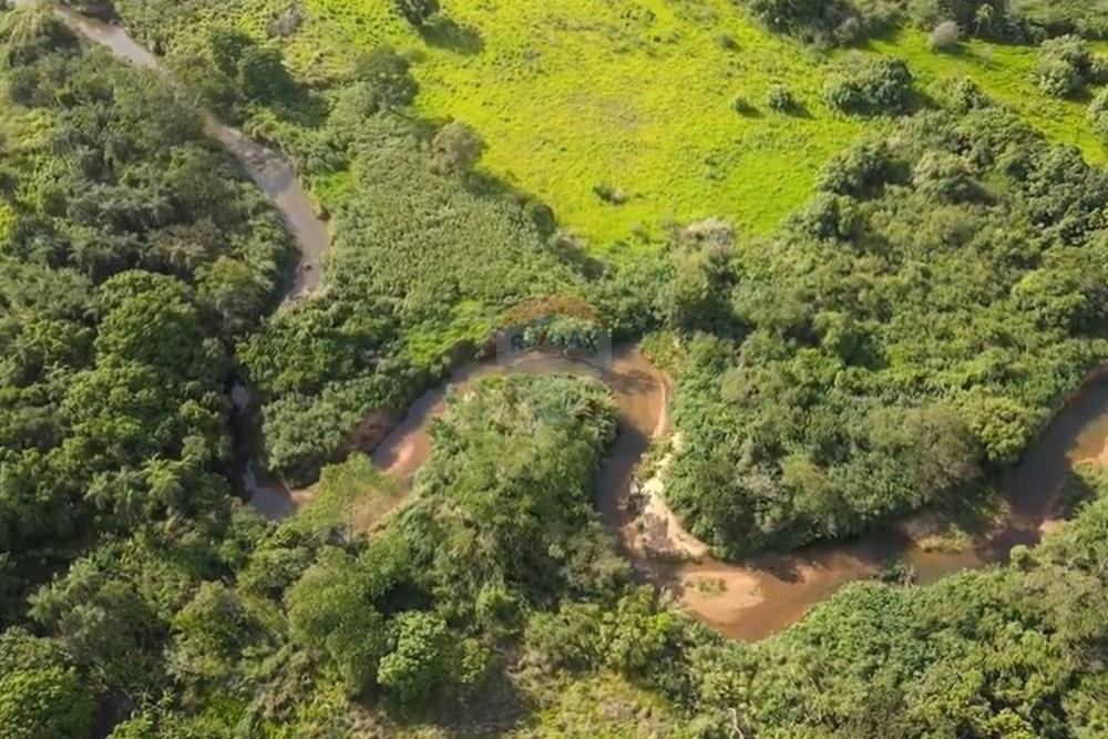 Chácara / Sítio / Fazenda - Venda - Gama , Distrito Federal - image (22).jpg - 880321005-55