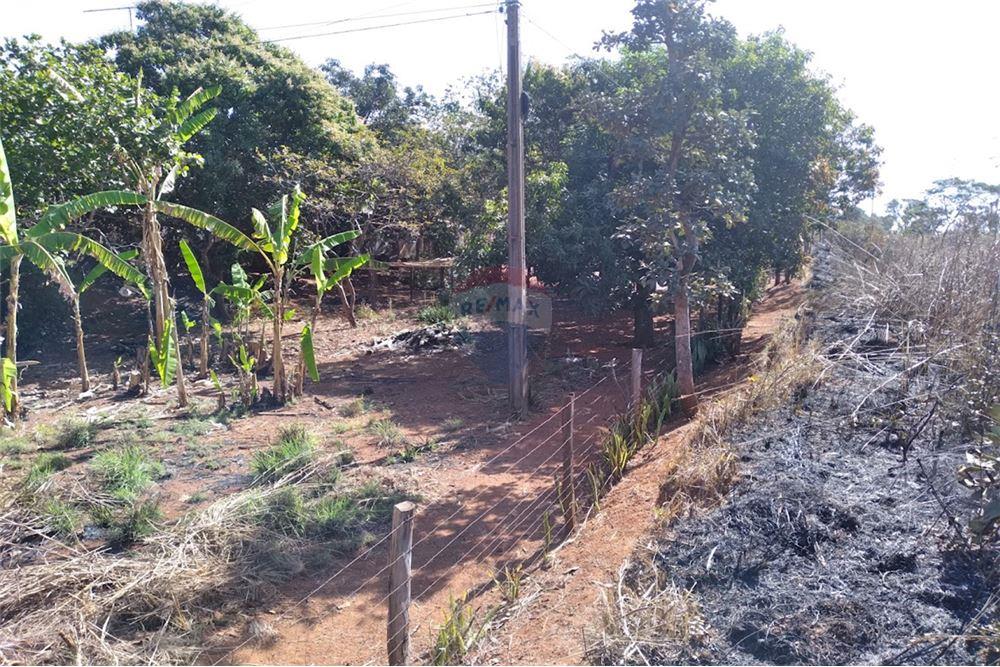 Chácara / Sítio / Fazenda - Venda - Gama , Distrito Federal - 26 - 880321005-55