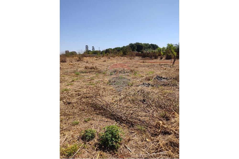 Terreno - Venda - Gama , Distrito Federal - lote 06.jpg - 880201061-3