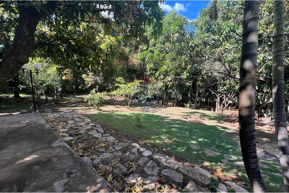 Casa - Venda - Águas Claras , Distrito Federal - WhatsApp Image 2025-10-29 at 22.33.11.jpeg - 880341027-38