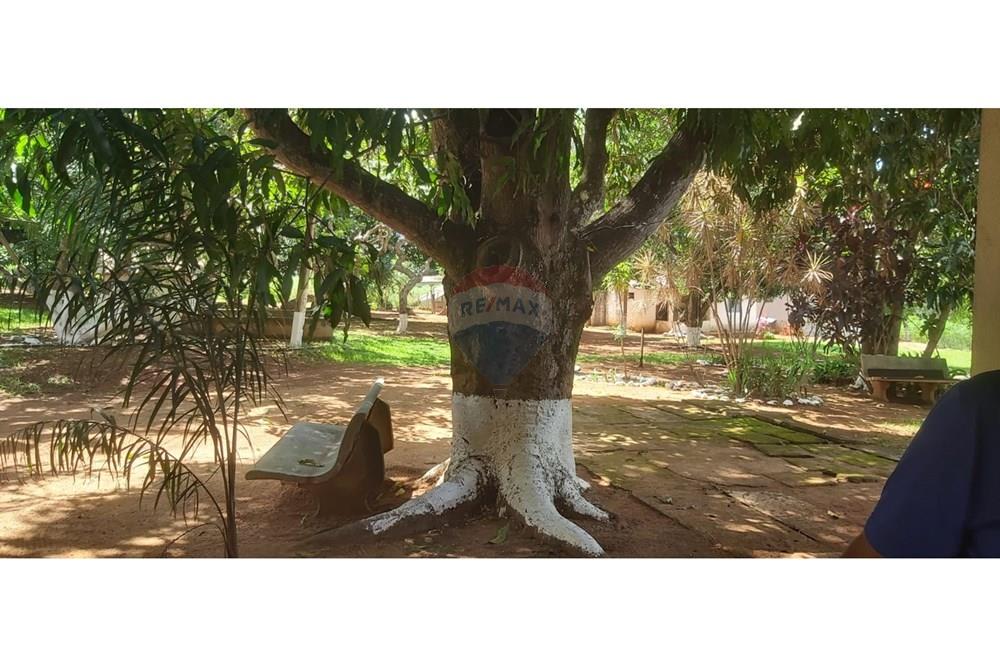 Chácara / Sítio / Fazenda - Venda - Paranoa , Distrito Federal - WhatsApp Image 2026-02-19 at 15.14.08 (1).jpeg - 880341160-4