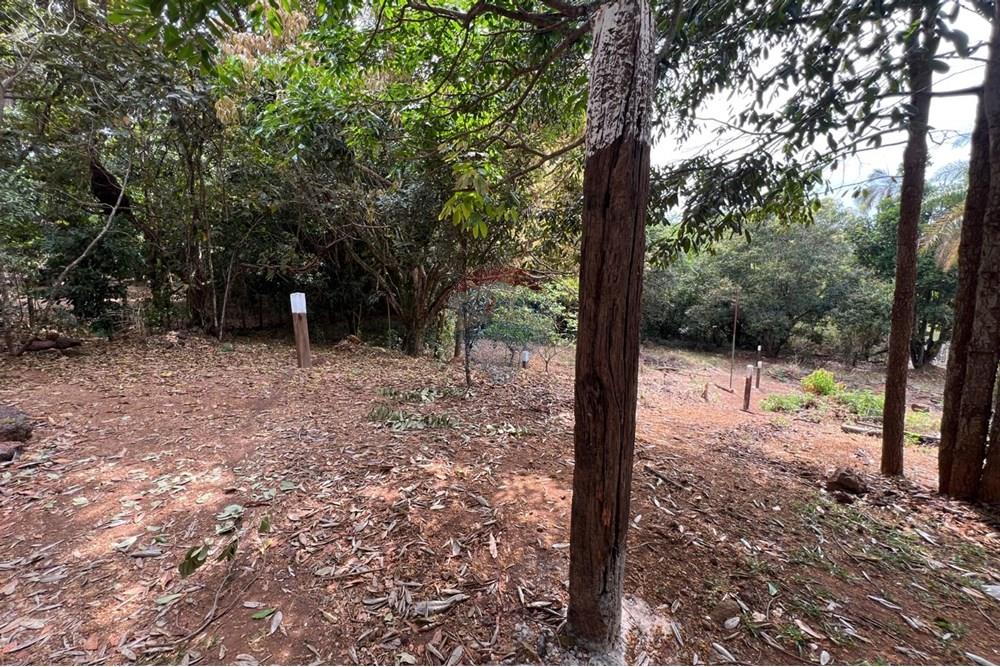 Terreno - Venda - Brasília , Distrito Federal - IMG-20251024-WA0703.jpg - 880351015-28