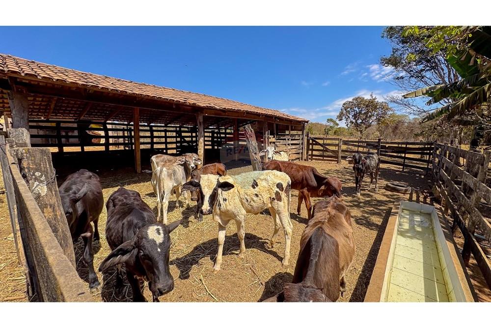 Chácara / Sítio / Fazenda - Venda - Planaltina , Distrito Federal - IMG_3988.jpg - 880221003-55