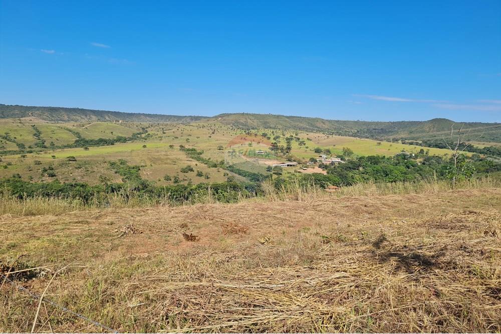 Chácara / Sítio / Fazenda - Venda - Brasília , Distrito Federal - 20250524_101020.jpg - 880321021-70