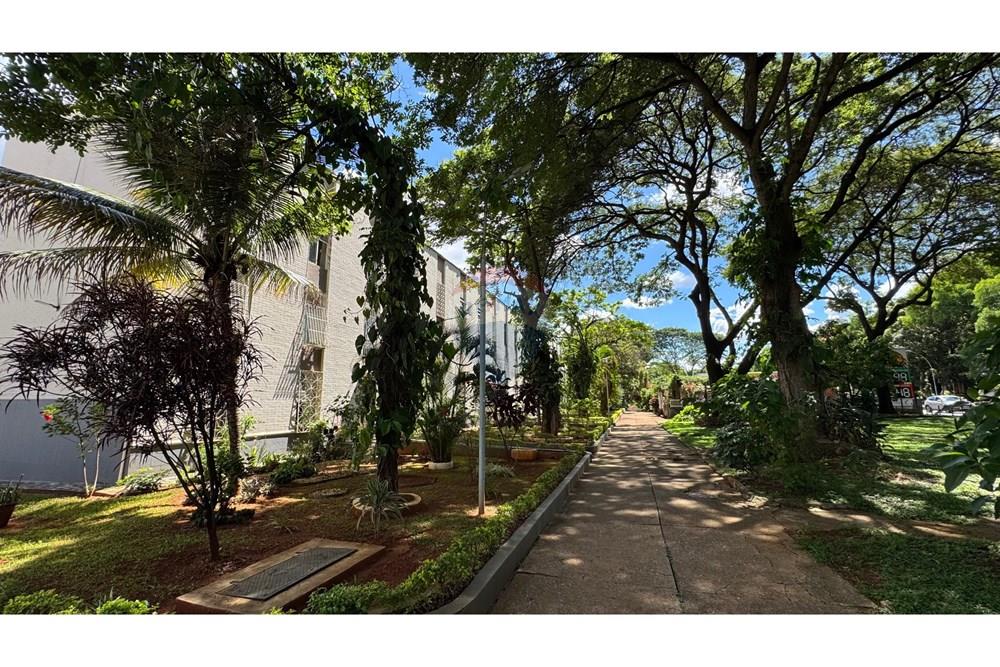 Apartamento - Venda - Brasília , Distrito Federal - IMG_0558.jpeg - 880111010-150