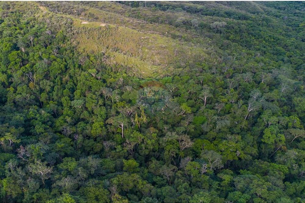 Terreno - Venda - Brasília , Distrito Federal - DJI_0111-Aprimorado-NR.jpg - 880251001-39