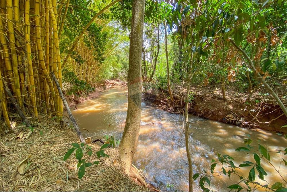 Chácara / Sítio / Fazenda - Venda - Cidade Ocidental , Goiás - IMG_5591.jpg - 880321021-99