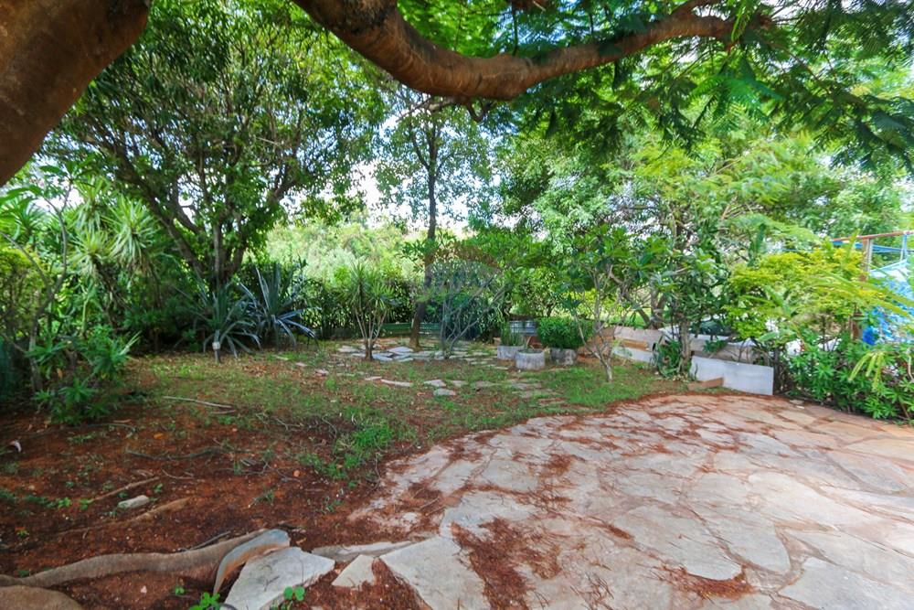 Apartamento - Alugar - Brasília , Distrito Federal - Quintal - 001.jpg - 880221014-139