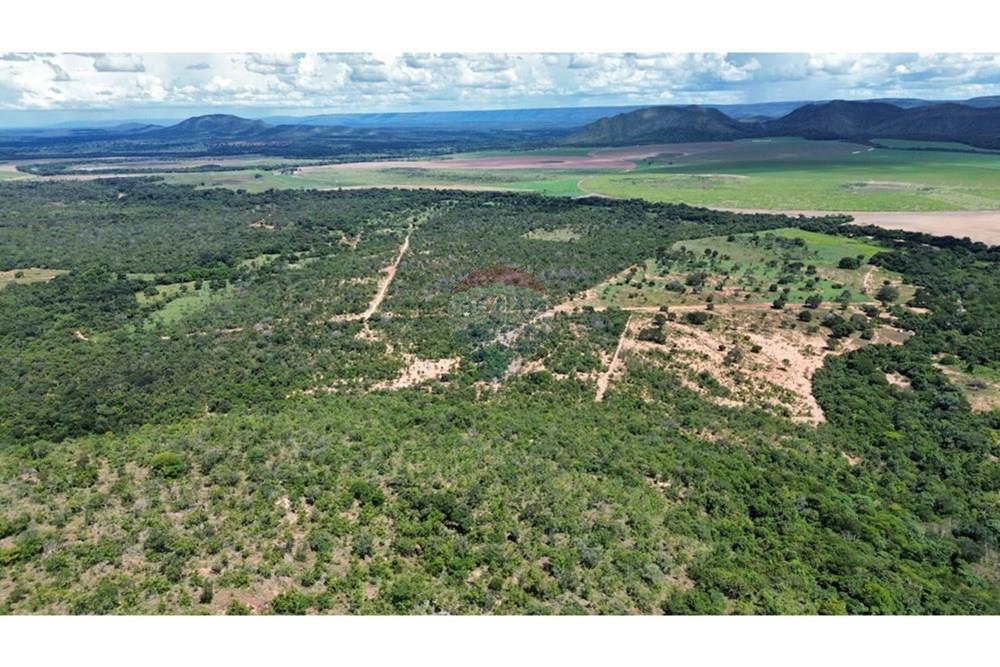 Chácara / Sítio / Fazenda - Venda - Arinos , Minas Gerais - IMG-20250420-WA0027.jpg - 880231174-6