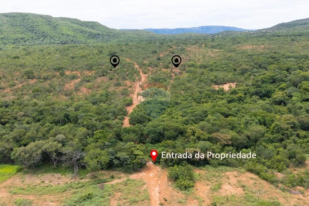 Chácara / Sítio / Fazenda - Venda - Buritis , Minas Gerais - DJI_20260201114423_0170_D.jpg - 880461004-155