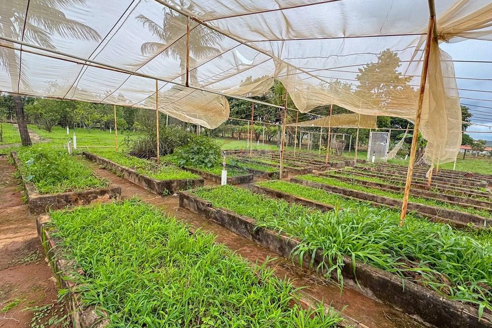 Chácara / Sítio / Fazenda - Venda - Sobradinho , Distrito Federal - IMG_5647.jpg - 880111107-7