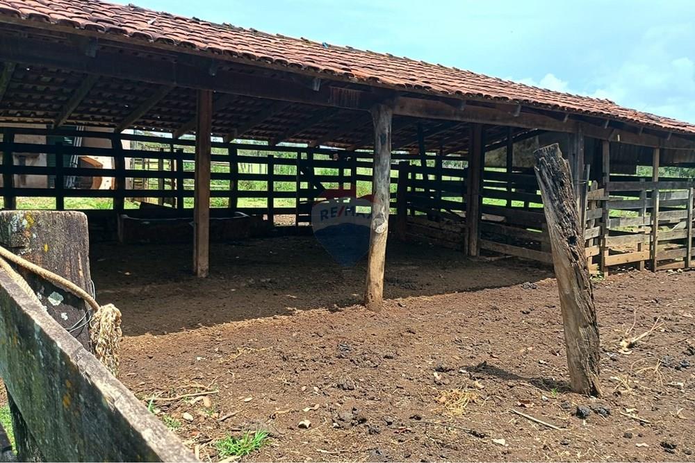 Chácara / Sítio / Fazenda - Venda - Planaltina , Distrito Federal - WhatsApp Image 2026-01-25 at 12.07.24 (1).jpeg - 880221003-55