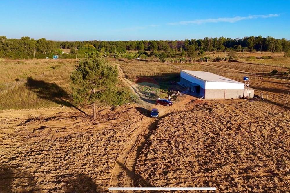 Galpão - Venda - Brazlandia , Distrito Federal - IMG_6994.jpeg - 880351001-197