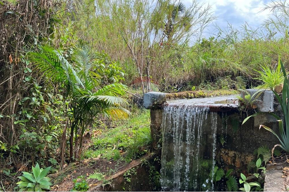 Terreno - Venda - Brasília , Distrito Federal - IMG-20251024-WA0715.jpg - 880351015-28