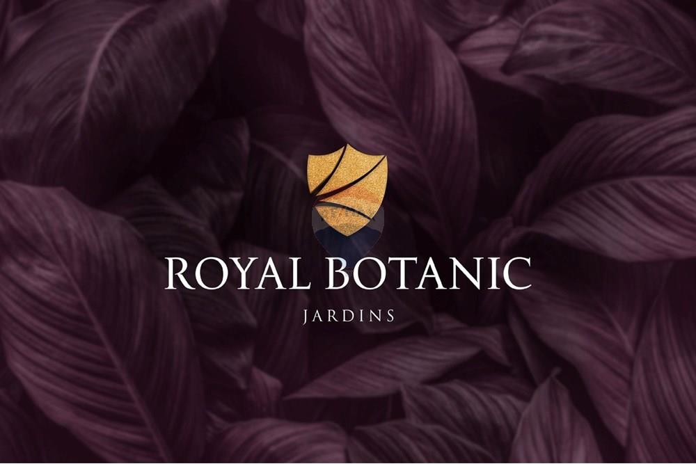 Terreno - Venda - Brasília , Distrito Federal - WhatsApp Image 2025-09-02 at 15.20.49.jpeg - 880331038-80